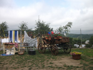 DSCF3518